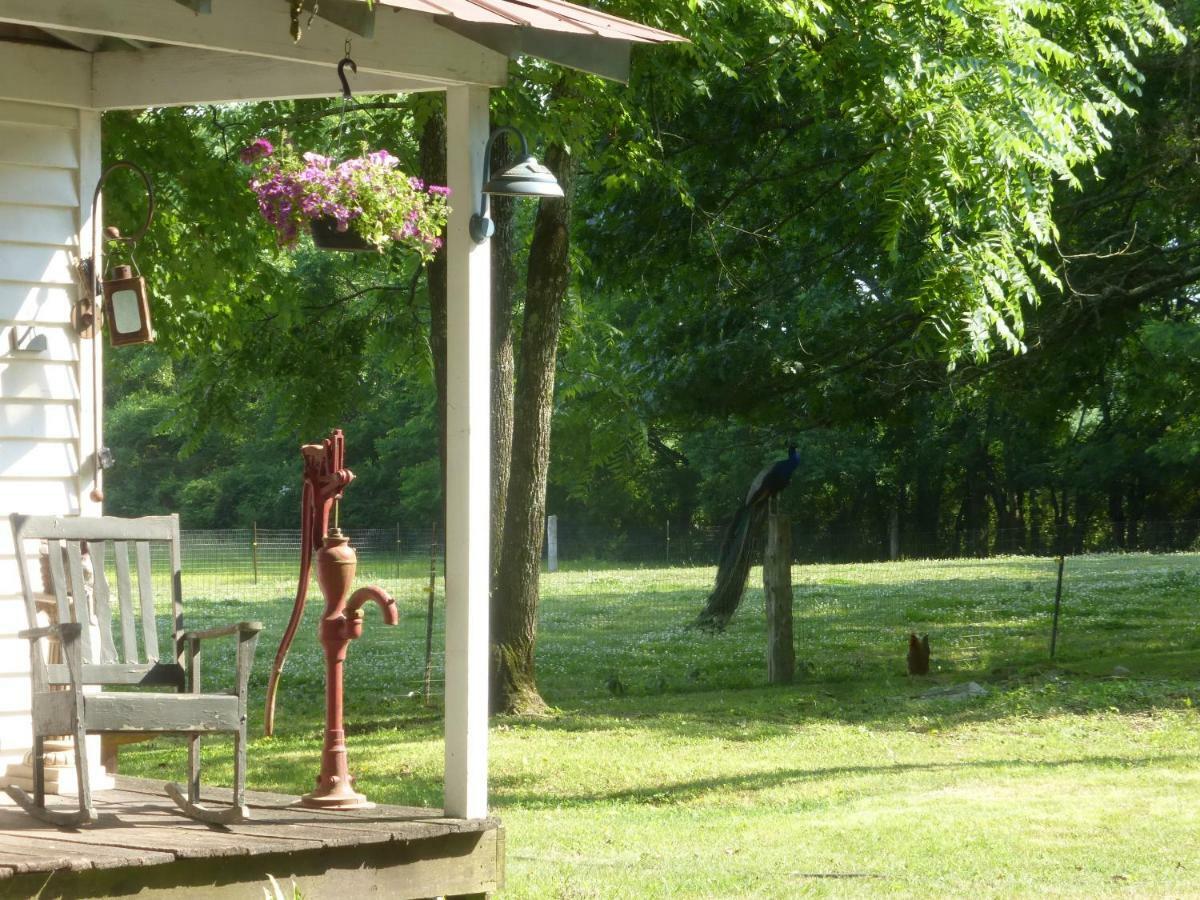 Mulberry Lavender Farm And B&B ภายนอก รูปภาพ