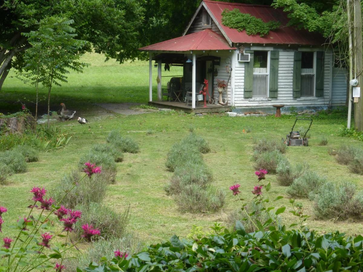 Mulberry Lavender Farm And B&B ภายนอก รูปภาพ