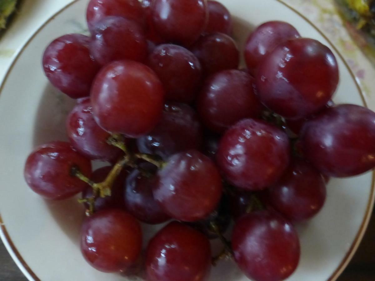 Mulberry Lavender Farm And B&B ภายนอก รูปภาพ